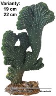 Hobby Kaktus Victoria 2, 22cm
