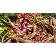 Hobby fototapeta Colorful Jungle / Strangler Fig, 30cm
