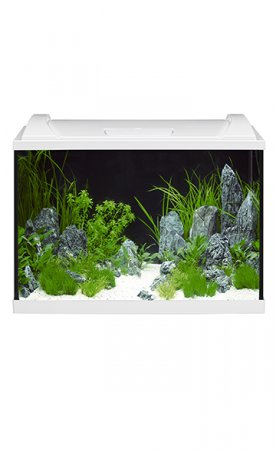 EHEIM Aquapro LED 84, akvrium, akvarijn set 84 l bl