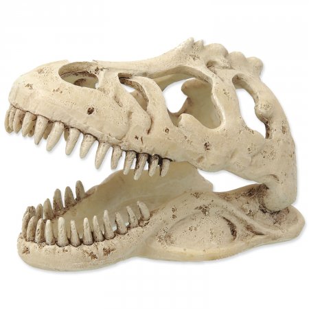 REPTI PLANET Dekorace T-REX lebka 13,3cm