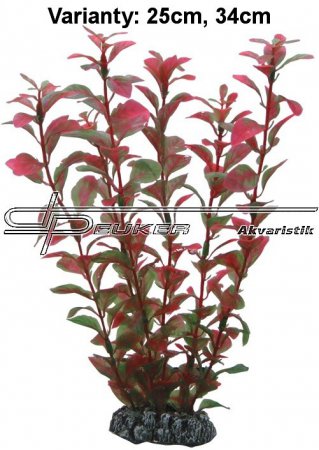 HOBBY Ludwigia 25cm