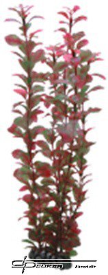 HOBBY Ludwigia 34cm