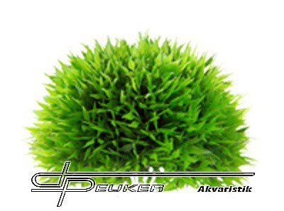 HOBBY Plant Ball 18cm, asov koule uml