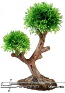 HOBBY Aqua Tree 2